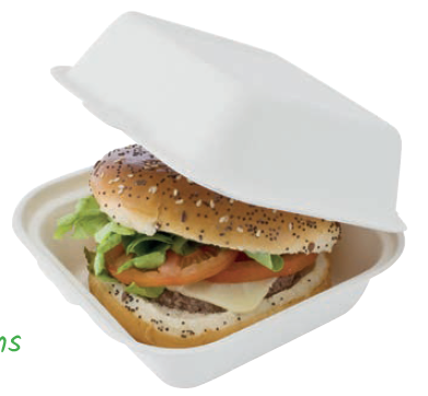 BOITE BURGER BAGASSE /50 (PCB10)