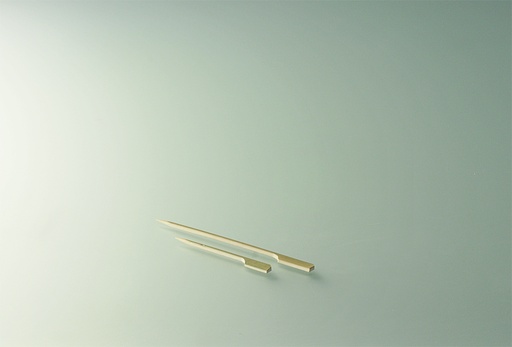 [EN0205] Pique plat/ 250 bambou 105mm - (PCB10)