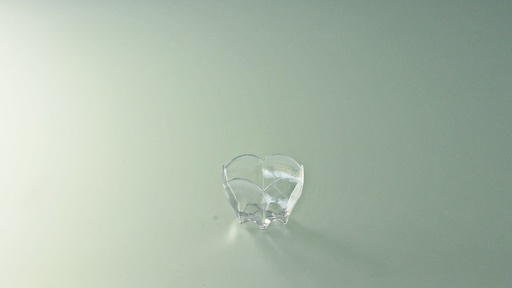 [EN0323] Verrine /50 Tulipe Cristal mise en bouche (PCB20)