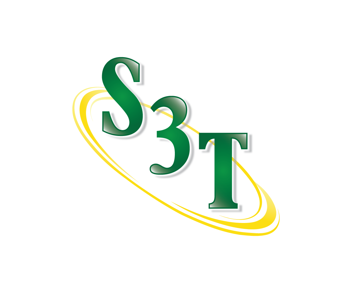 S3T